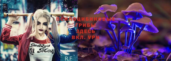 первитин Алексеевка
