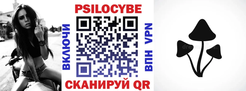 Псилоцибиновые грибы Psilocybe  blacksprut ссылки  Троицк 