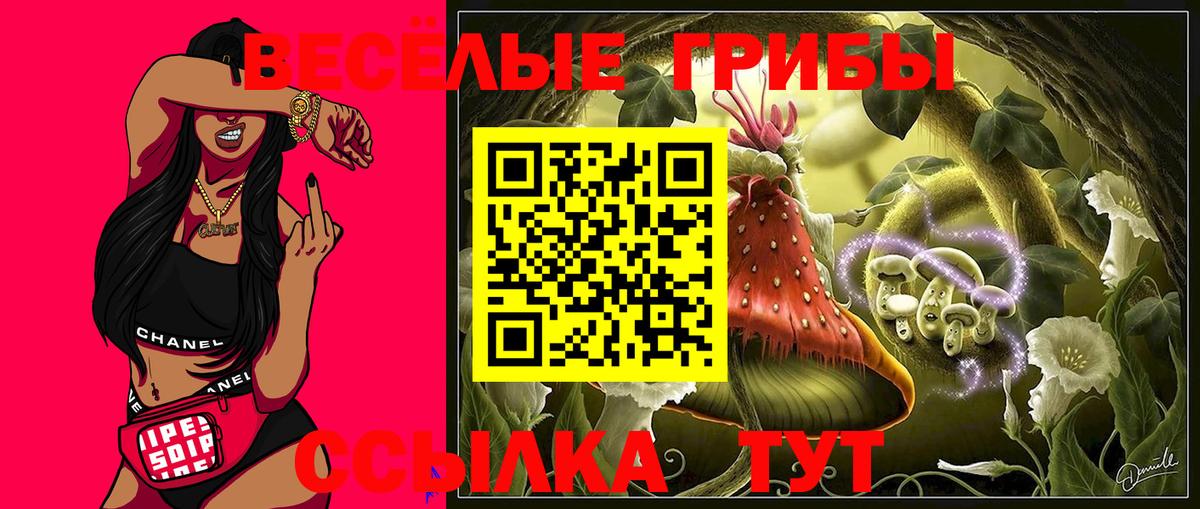 Троицк  Галлюциногенные грибы мухоморы  Вход с VPN 