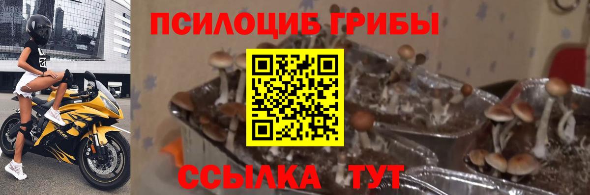 Галлюциногенные грибы мухоморы Троицк